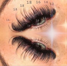 Eyelashes Tutorial, Best Lash Extensions, Lash Extentions