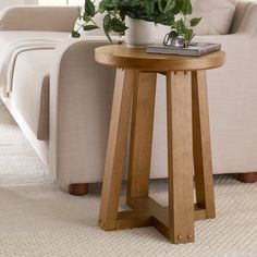 a living room with a couch, table and potted plant on the coffee table