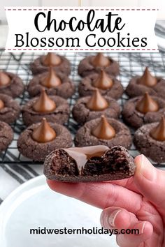 chocolate blossom cookies on a cooling rack with text overlay that reads, chocolate blossom cookies