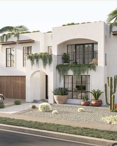 an artist's rendering of a house with cactus and cacti in front