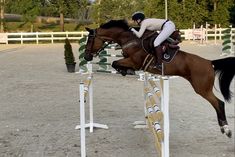 a person jumping a horse over an obstacle