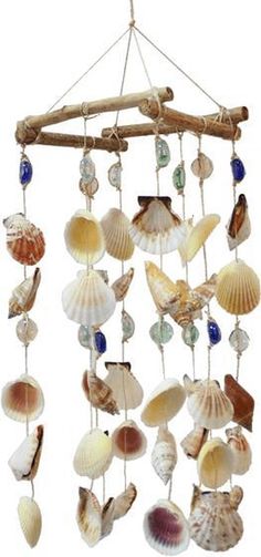 a wind chime with shells hanging from it