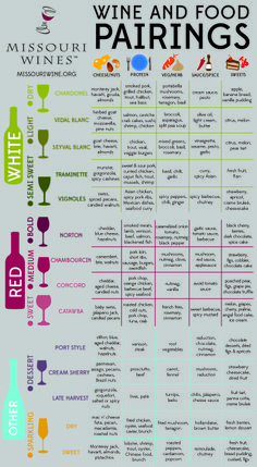 the wine and food pairings chart is shown in purple, green, yellow and blue