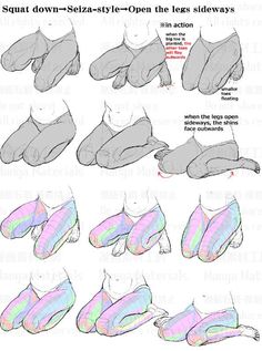 an image of different types of legs and feet