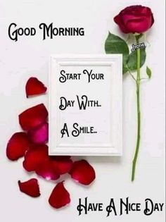 a red rose sitting next to a white frame with the words good morning start your day with a smile have a nice day