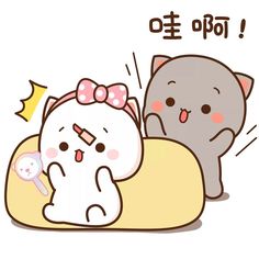 an image of two cats sleeping together on the bed with caption in english and korean