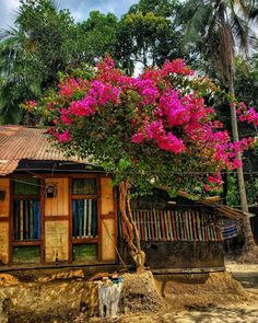 a small house with pink flowers on the roof and trees in the back ground behind it