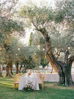 an outdoor table set up for dinner under the trees with string lights strung from them