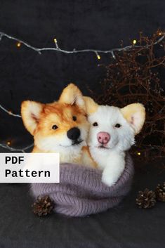 two puppies cuddling in a basket with pine cones on the side and lights behind them