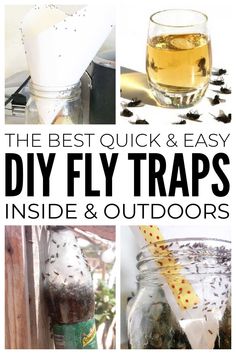 the best quick and easy diy fly traps inside & outdoors