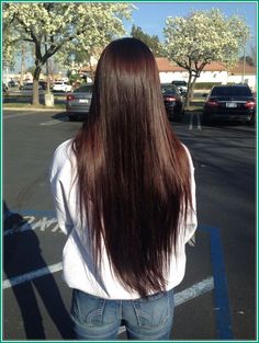 Dark Chocolate Brown Hair, Long Healthy Hair, Chocolate Brown Hair, Brown Hair With Highlights, Light Brown Hair, Long Hair Cuts