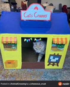 a cat is hiding in a toy house