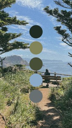 a person sitting on a bench in front of the ocean and trees with circles hanging from them