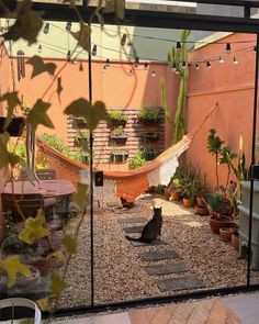 a cat sitting in the middle of a patio