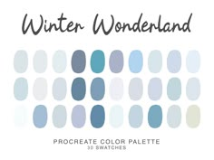 the color palette for winter wonderland is shown in shades of blue, gray and white