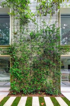 an ivy covered wall in front of a house