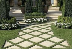 an outdoor garden with white flowers and greenery