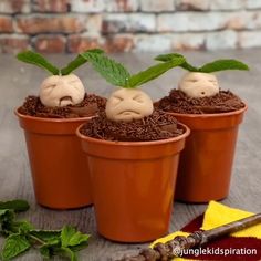 three potted plants with fake faces in them