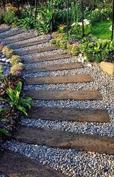 an image of a stone path in the middle of some plants and flowers on top of it