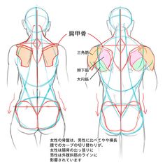 the back view of a woman's body with different angles and directions to draw it