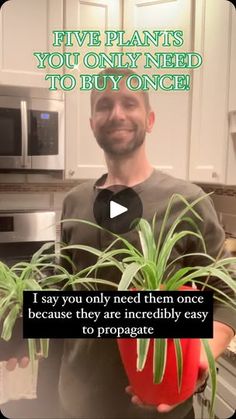 a man is holding a potted plant in his hands with the caption five plants you only need to buy once