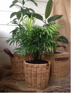 two wicker baskets with plants in them