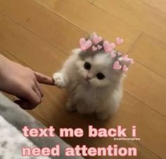 a small white kitten with pink hearts on its head is being petted by someone's hand