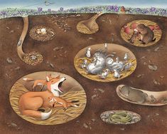 an illustration of several animals in the middle of a dirt area with rocks and plants