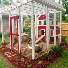 a chicken coop in the backyard with chickens inside and on it's own side