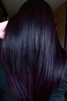 Midnight Violet Black Hair, Dark Blue And Purple Hair, Blue Violet Hair, Violet Black Hair, Violet Hair Colors, Hair Color Mahogany, Mahogany Hair