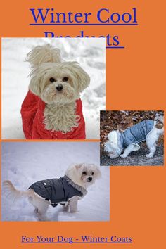 the cover of winter cool coats for your dog - winter coats are available in multiple styles