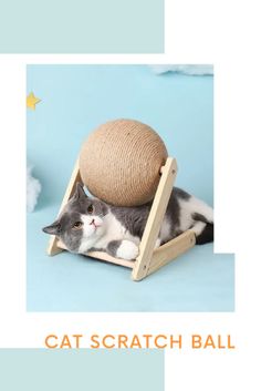 a cat laying on top of a wooden scratching ball