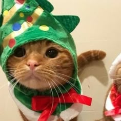 a cat wearing a green hat and bow tie