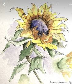 a watercolor painting of a sunflower with green leaves