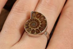 Ammonite Ring Size 7 Approx. Dimensions: 0.8x0.65 inches Ammonite ring set in sterling silver. Size 7. Ammonite Ring, Ring Set, Ring Sets, Ring Size, Size 7, Sterling Silver, Ring, Silver