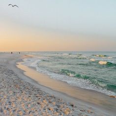 two birds are flying over the water at sunset on a beach with white sand and waves