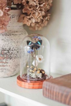 a glass clochet with a butterfly under it sitting on a shelf next to flowers