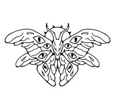 a black and white drawing of a moth