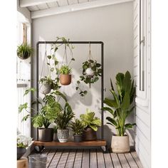 several potted plants on a shelf in front of a window