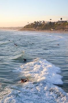 people swimming in the ocean at sunset