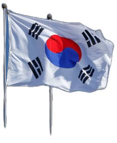 a flag with two flags on it flying in the wind, against a white background