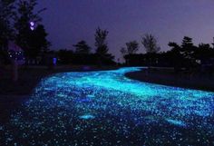 glow stones mixed in with the cement or concrete to make it glow in the dark