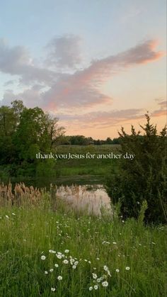 a field with flowers and trees in the background that says, thank you jesus for another day