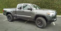 a gray truck parked in a parking lot next to a green wall and shrubbery