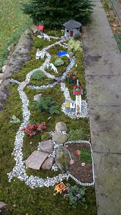 a garden with rocks and plants on the ground