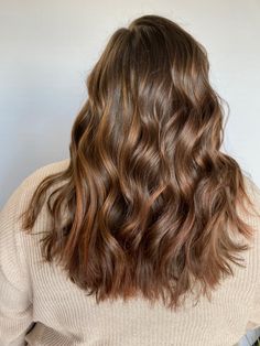 Mousy Brown Hair, Warm Brown Hair, Chestnut Hair, Chestnut Hair Color, Honey Brown Hair, Brown Hair Inspo, Light Hair Color, Brown Hair Balayage, Hair Appointment