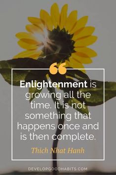 a sunflower with a quote on it that says, enlightment is growing all the time