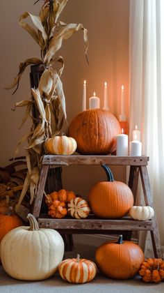 an assortment of pumpkins and gourds in front of a window with candles