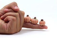 three miniature pumpkins sitting on the palm of someone's hand with their fingers