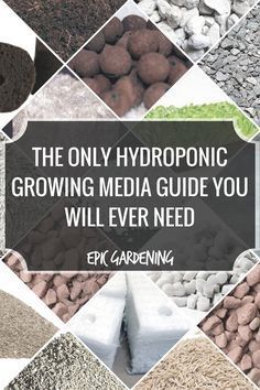 the only hydroponic growing media guide you will ever need